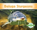 Beluga Sturgeons cover