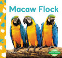 Macaw Flock cover