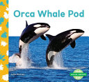 Orca Whale Pod cover