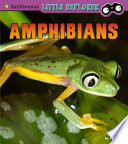 Amphibians cover