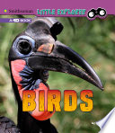 Birds cover