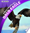 A Day in the Life of a Bald Eagle cover