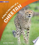 A Day in the Life of a Cheetah cover