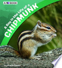 A Day in the Life of a Chipmunk cover