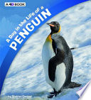 A Day in the Life of a Penguin cover