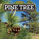Pine Tree cover