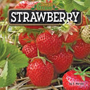 Strawberry cover