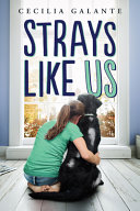 Strays Like Us cover