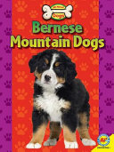 Bernese Mountain Dogs cover