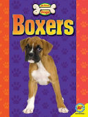 Boxers cover