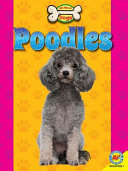Poodles cover