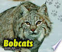 Bobcats cover
