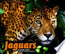 Jaguars cover