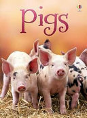 Pigs cover