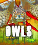 Owls cover