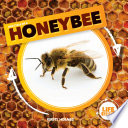 Life Cycle of a Honeybee cover