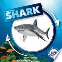 Life Cycle of a Shark cover