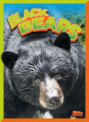 Black Bears cover