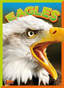 Eagles cover