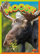 Moose cover