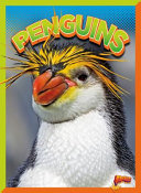 Penguins cover
