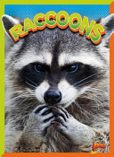Raccoons cover