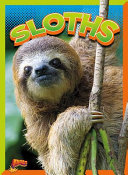 Sloths cover