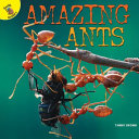 Amazing Ants cover