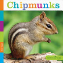 Chipmunks cover