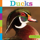 Ducks cover