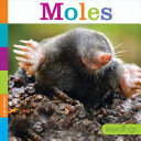 Moles cover