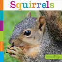 Squirrels cover