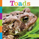 Toads cover
