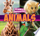 Animals cover