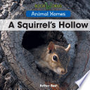 A Squirrel’s Hollow cover