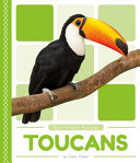 Toucans cover