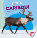 It's a Caribou! cover