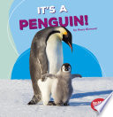 It's a Penguin! cover