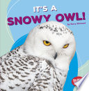 It's a Snowy Owl! cover