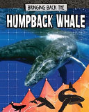 Bringing Back the Humpback Whale cover