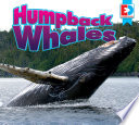 Humpback Whales cover