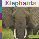 Elephants (Seedlings) cover