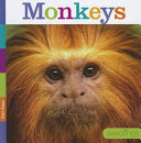 Monkeys cover