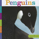 Penguins cover