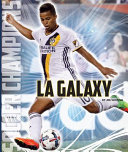 LA Galaxy cover