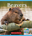 Beavers cover