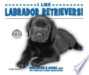 I Like Labrador Retrievers! cover
