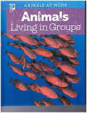 Animals Living in Groups cover