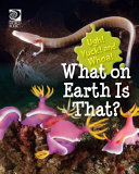 What on Earth Is That? cover