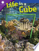 Life in a Cube cover